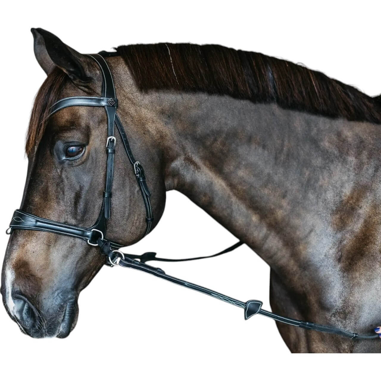 Dy´on Trense Working Motion Working By Dyon Dy´on Trense Working Motion Working By Dyon