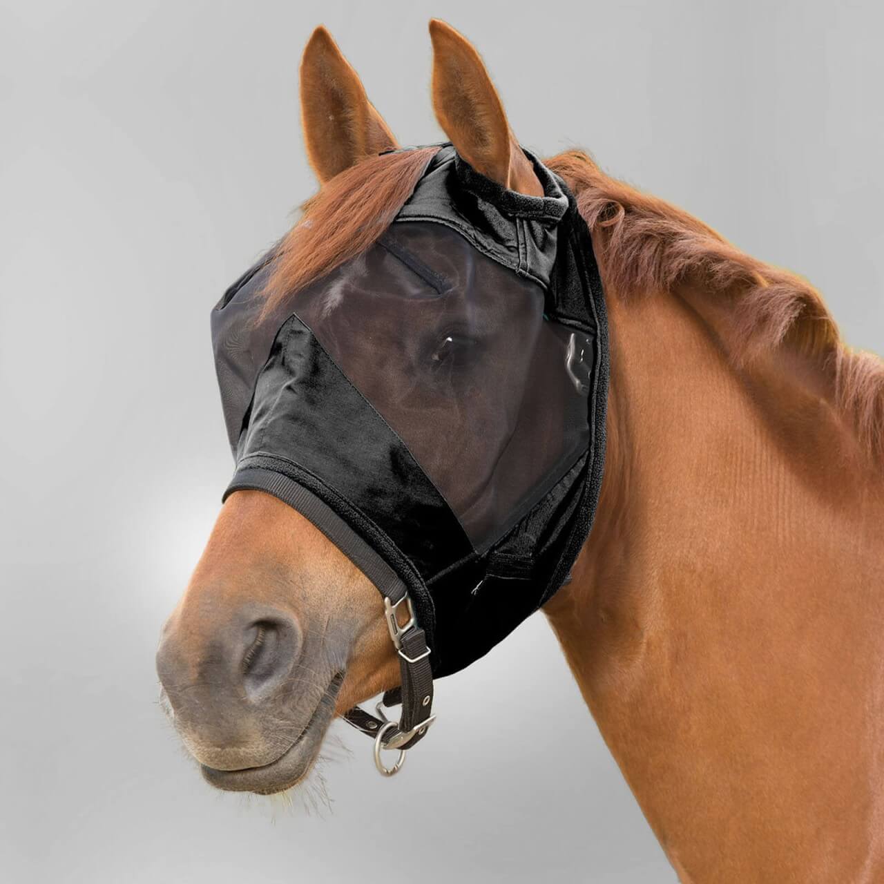 Waldhausen Fliegenmaske Premium ohne Ohrenschutz Fliegenschutz Waldhausen Fliegenmaske Premium ohne Ohrenschutz Fliegenschutz