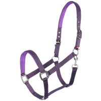 Black Berry Black Berry