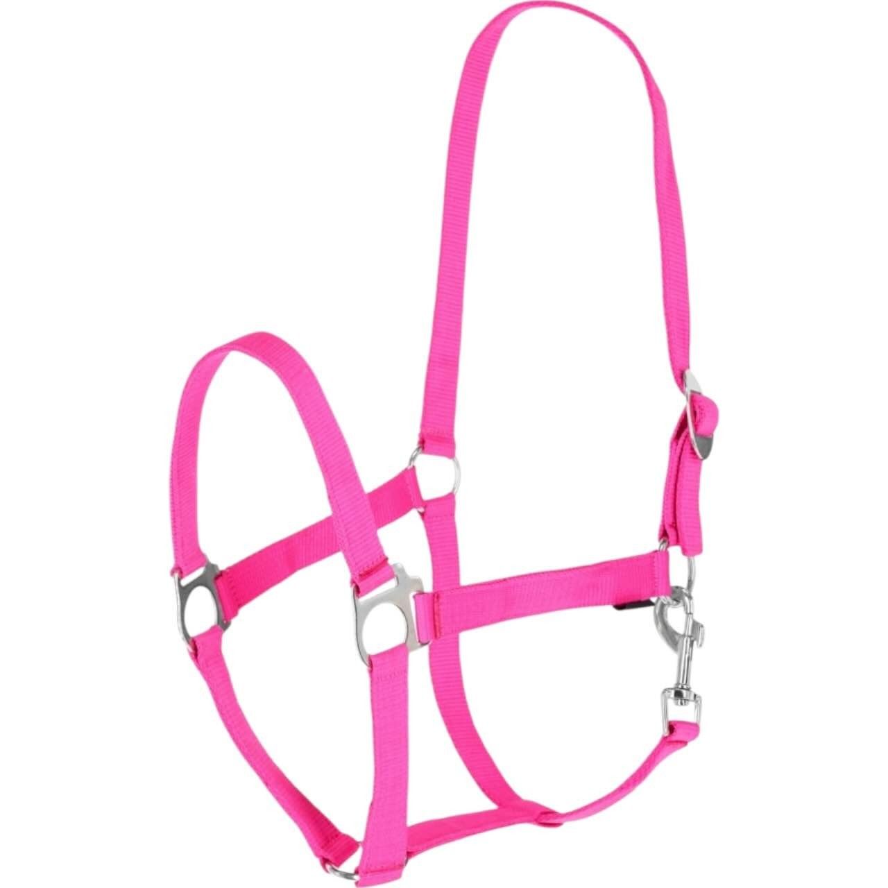 Covalliero Nylonhalfter Hippo Halfter Covalliero Nylonhalfter Hippo Halfter