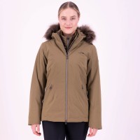 Dark oil green Dark oil green