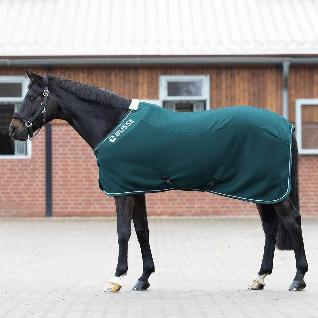 BUSSE Abschwitzdecke 3D Air Fleece Premium BUSSE Abschwitzdecke 3D Air Fleece Premium