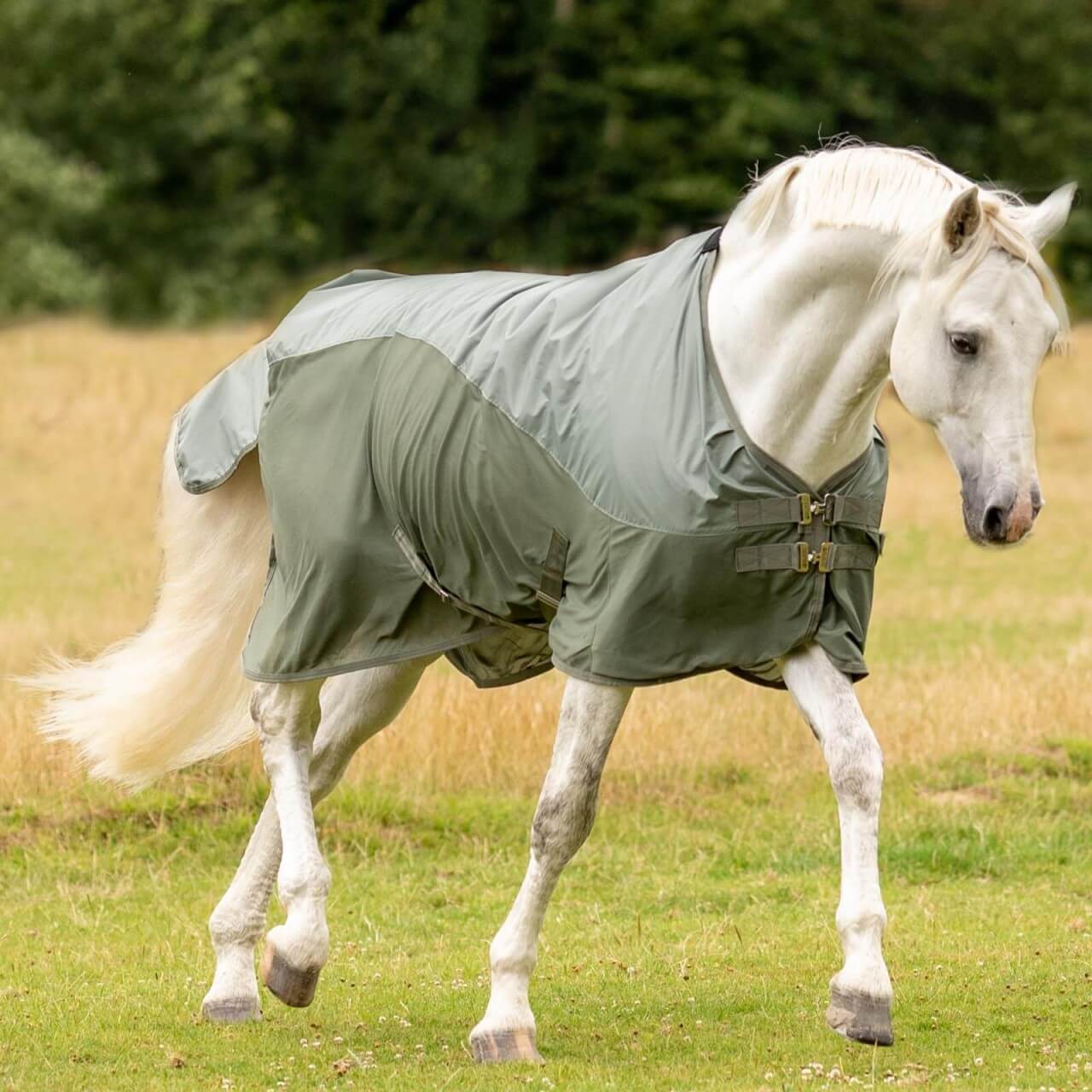 BUSSE Fliegendecke Rainfly Regendecke BUSSE Fliegendecke Rainfly Regendecke