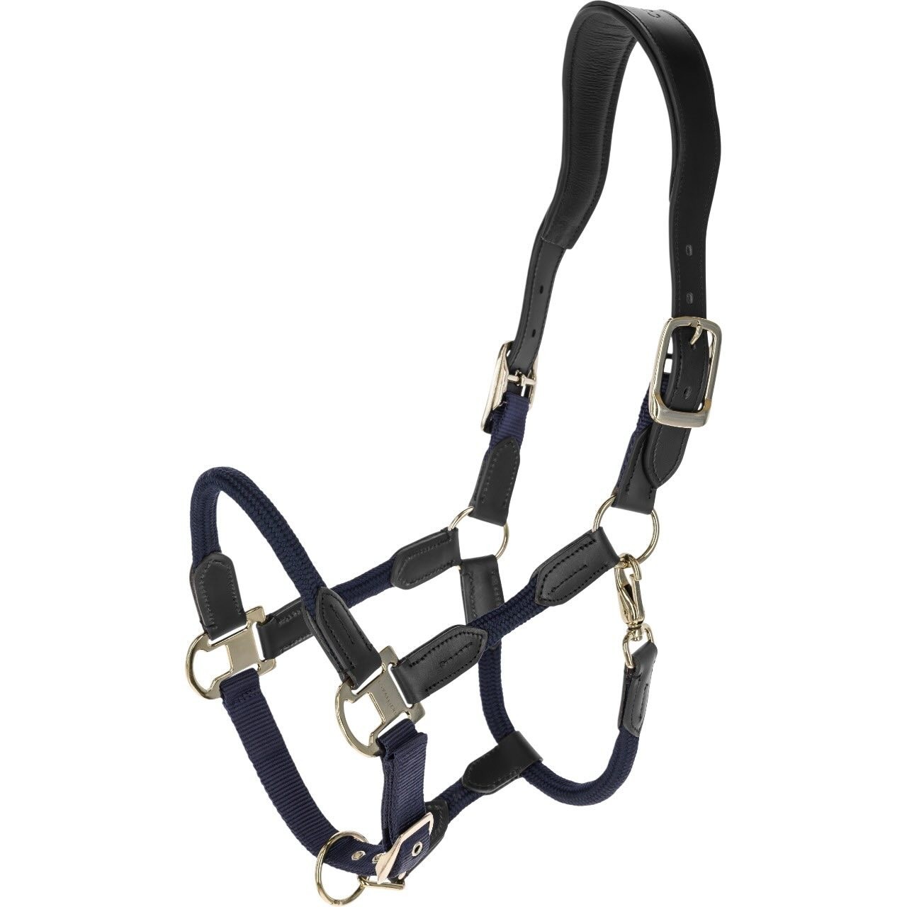 Covalliero Halfter Cordano Deluxe FS 2026 Lederhalfter Covalliero Halfter Cordano Deluxe FS 2026 Lederhalfter