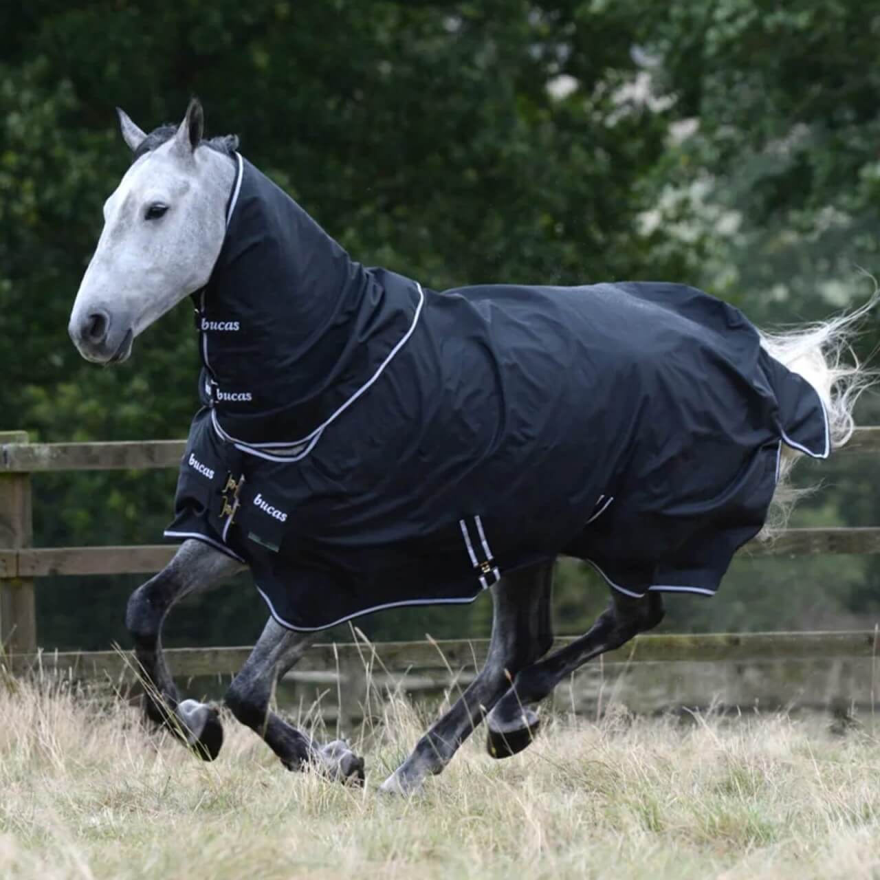 Bucas Halsteil 0g Trot Neck Bucas Halsteil 0g Trot Neck