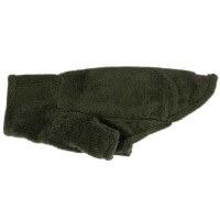 Tannengrün Tannengrün