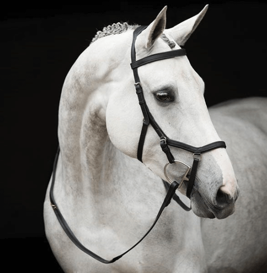 Horseware Ireland Trense Micklem Rambo Original Competition Bridle Turnierzaum Horseware Ireland Trense Micklem Rambo Original Competition Bridle Turnierzaum