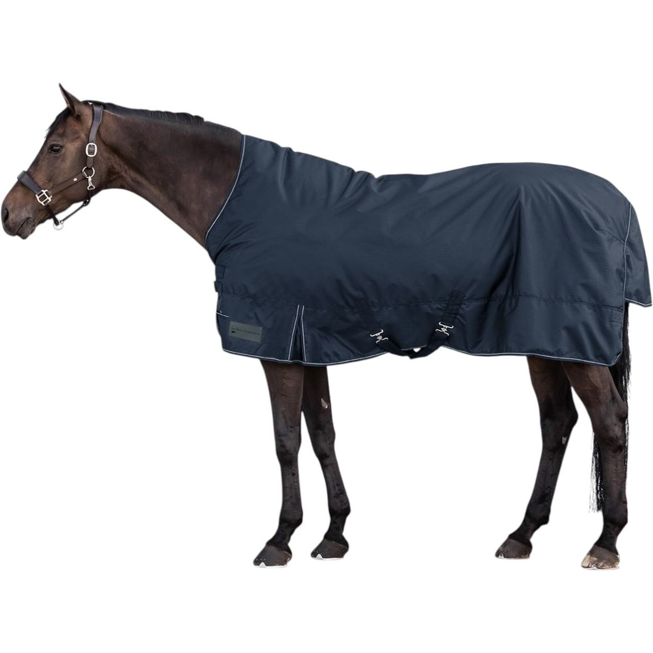 Waldhausen Outdoordecke 200g Nordic High Neck Weidedecke Nachtblau 125 cm | kavalio - für mich und mein Pferd