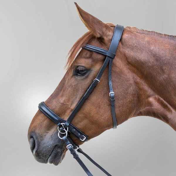 Trensenzaum Star Gebisslos Sidepull Trensenzaum Star Gebisslos Sidepull