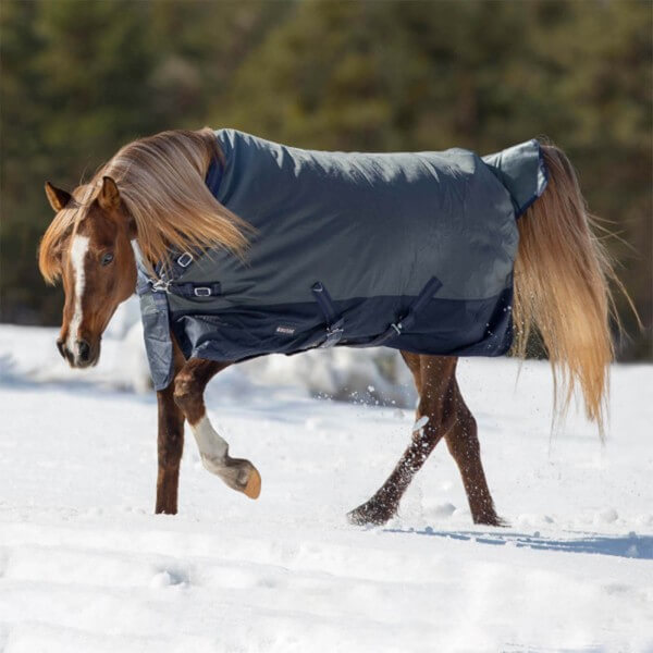 Outdoordecke 150g Active Pro Weidedecke Outdoordecke 150g Active Pro Weidedecke