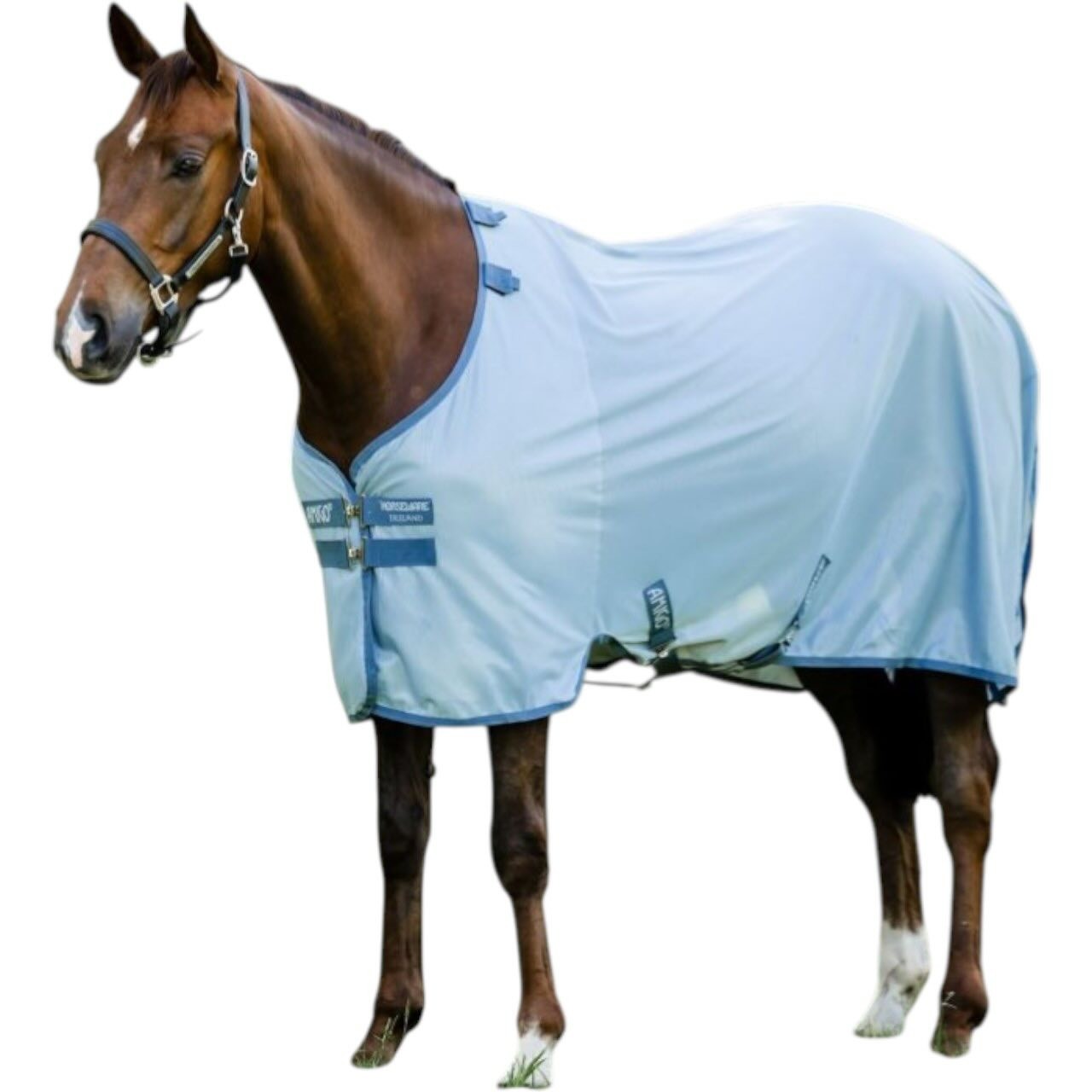 Horseware Ireland Fliegendecke Amigo Integrated Fly Sheet Fliegenschutz Horseware Ireland Fliegendecke Amigo Integrated Fly Sheet Fliegenschutz
