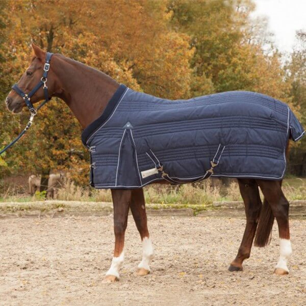 Stalldecke 100g Comfort  Stalldecke 100g Comfort