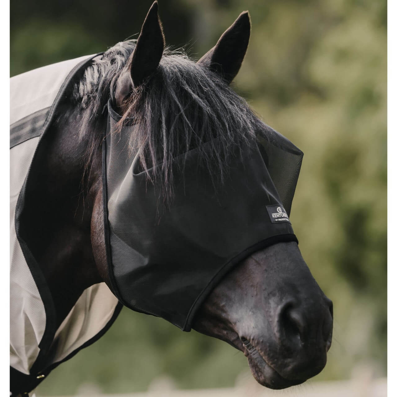 Kentucky Horsewear Fliegenmaske Classic ohne Ohren Fliegenschutz Kentucky Horsewear Fliegenmaske Classic ohne Ohren Fliegenschutz