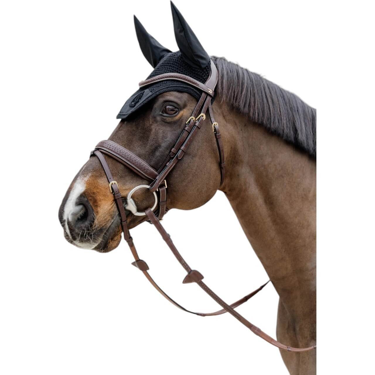 Dy´on Trense Geflochten mit schwedischem Reithalfter D-Collection Dy´on Trense Geflochten mit schwedischem Reithalfter D-Collection