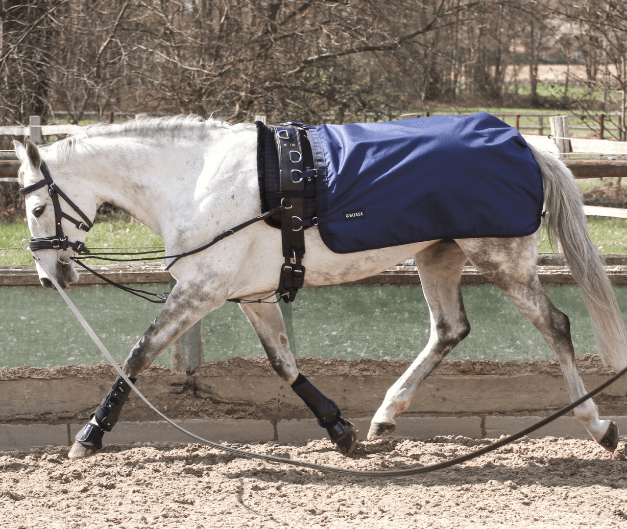 BUSSE Longierdecke Rain 50 BUSSE Longierdecke Rain 50
