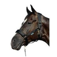 Black/Black Black/Black