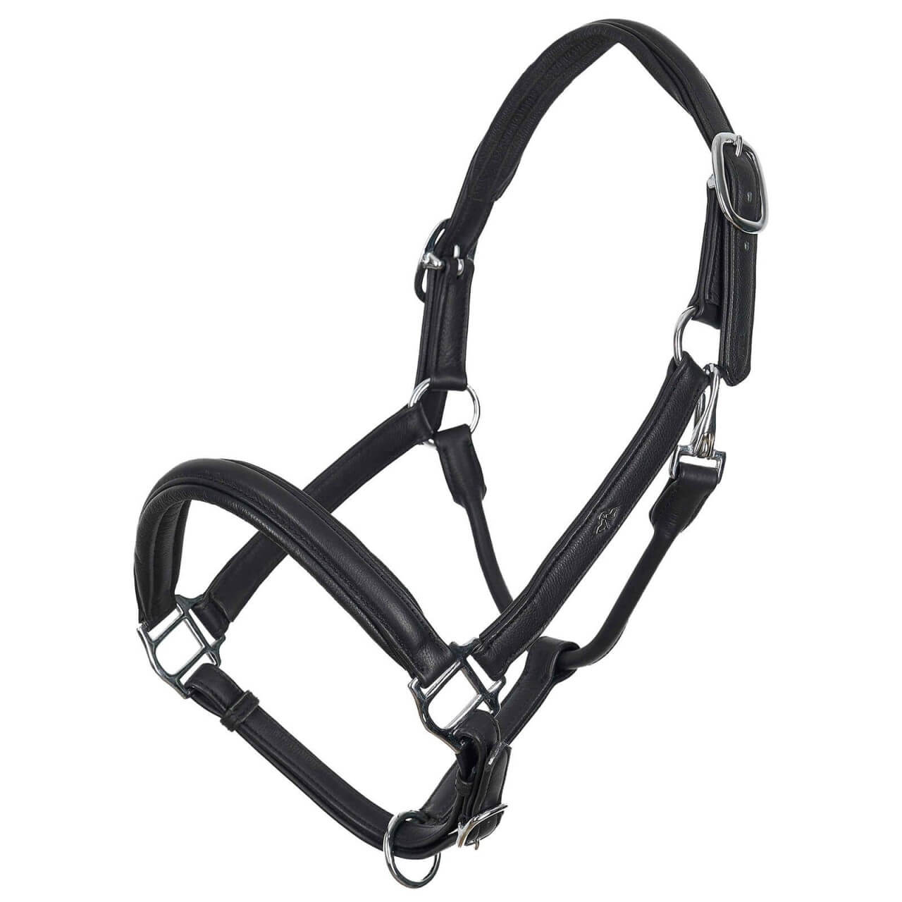 HV Polo Halfter HVPLeather Soft HW 2023 Lederhalfter HV Polo Halfter HVPLeather Soft HW 2023 Lederhalfter