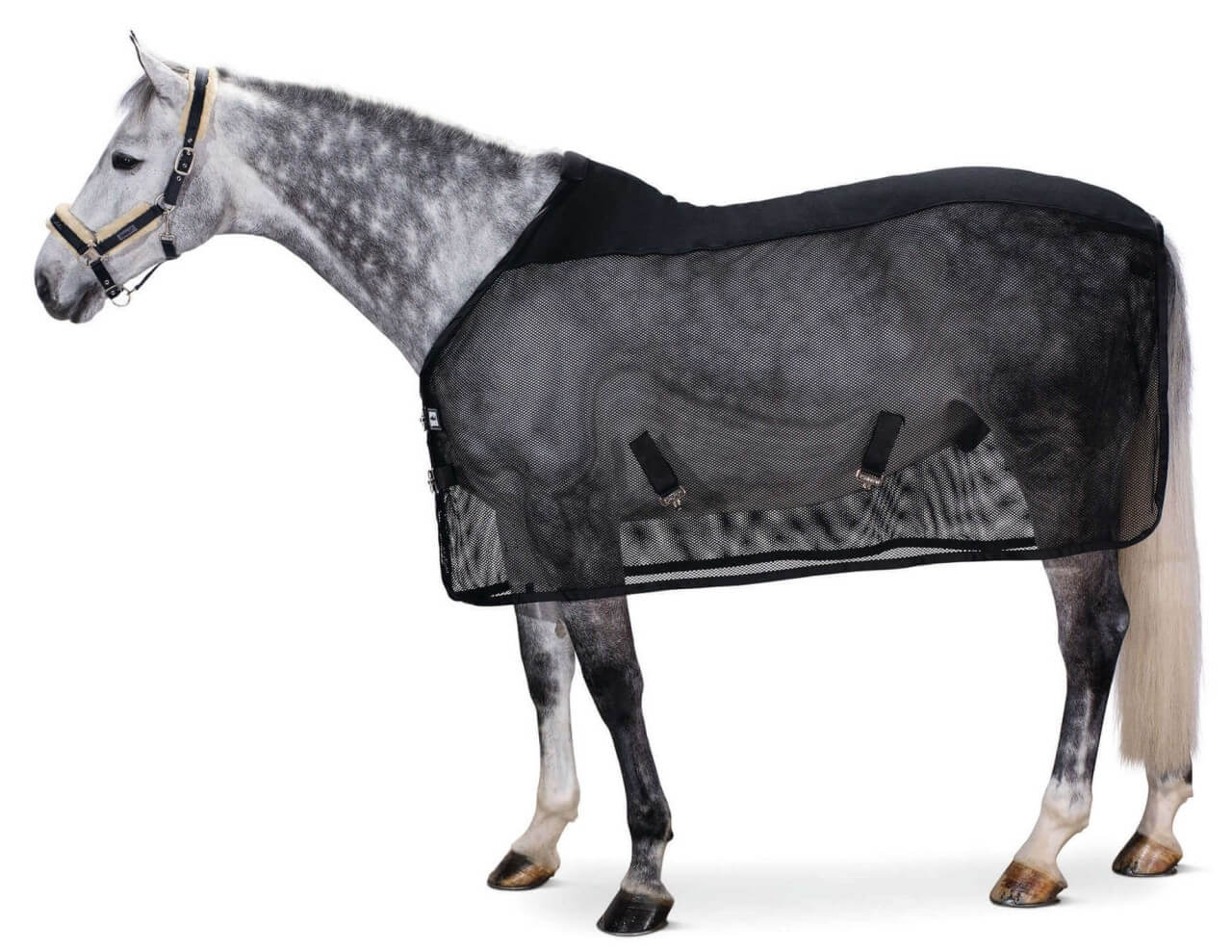 Eskadron Fliegendecke Pro Cover Dura Basics Fliegenausreitdecke Pferdedecke Eskadron Fliegendecke Pro Cover Dura Basics Fliegenausreitdecke Pferdedecke