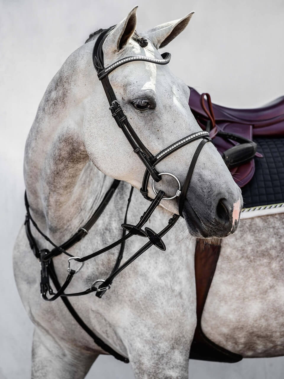 PS of Sweden Trense Amsterdam Trensenzaum PS of Sweden Trense Amsterdam Trensenzaum