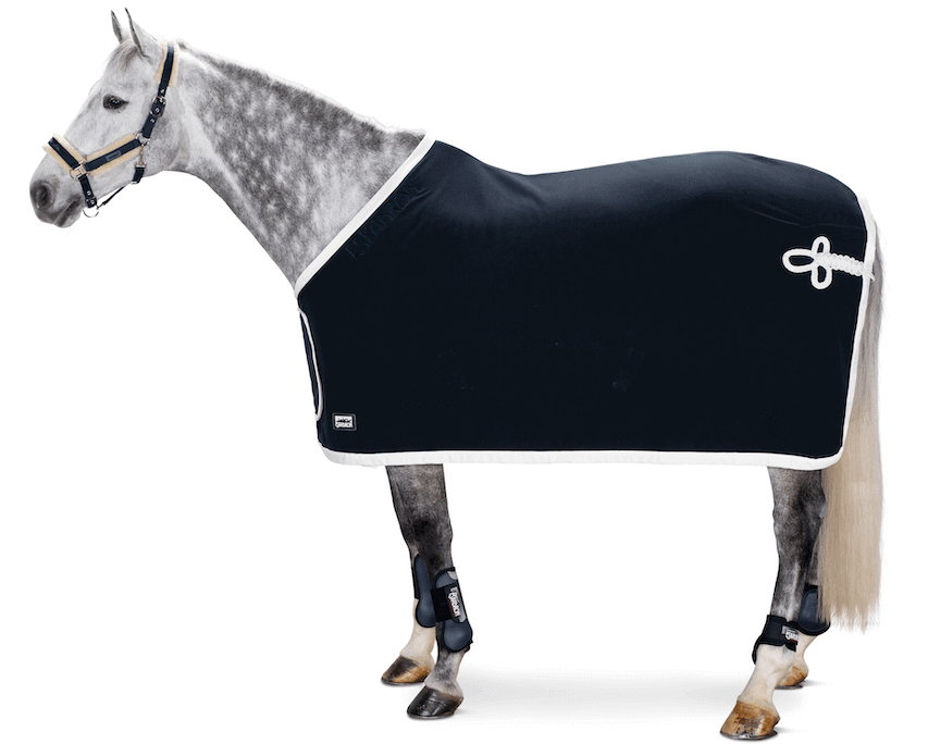 Eskadron Abschwitzdecke Fleece Show Basics Eskadron Abschwitzdecke Fleece Show Basics