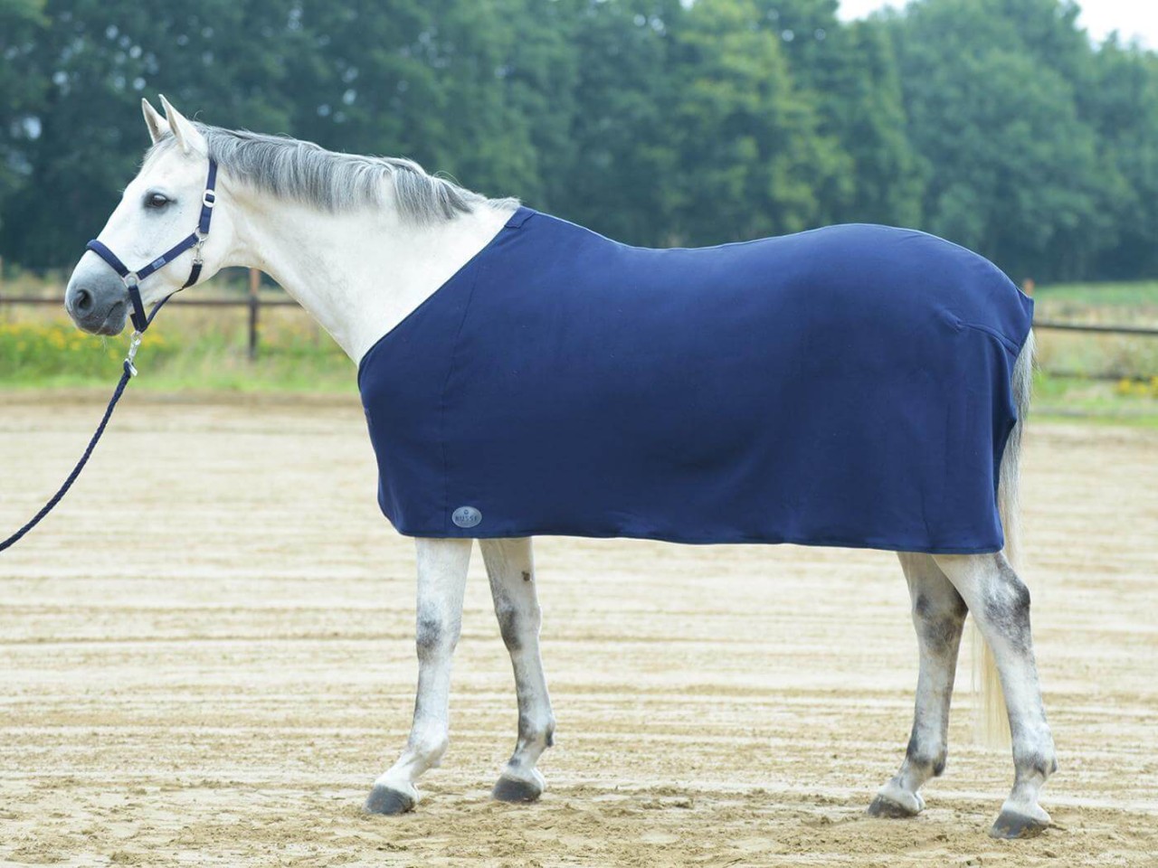 BUSSE Abschwitzdecke Basic II Funktionsmaterial BUSSE Abschwitzdecke Basic II Funktionsmaterial