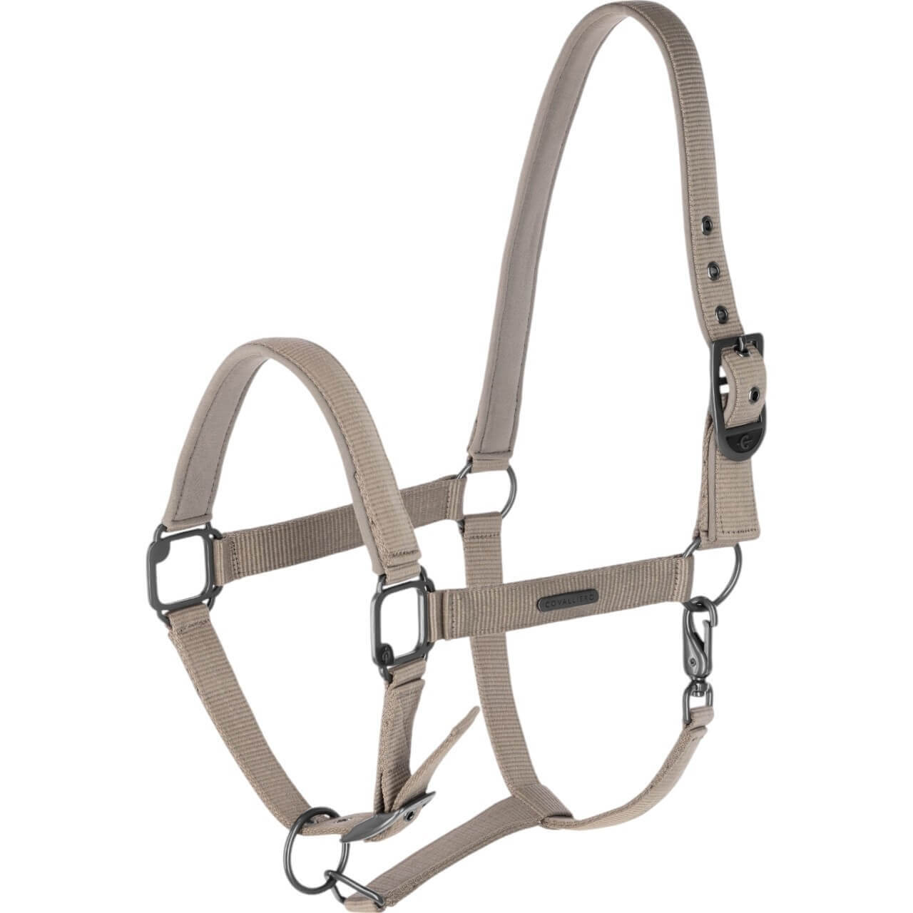 Covalliero Halfter FS 2025 Stallhalfter Covalliero Halfter FS 2025 Stallhalfter