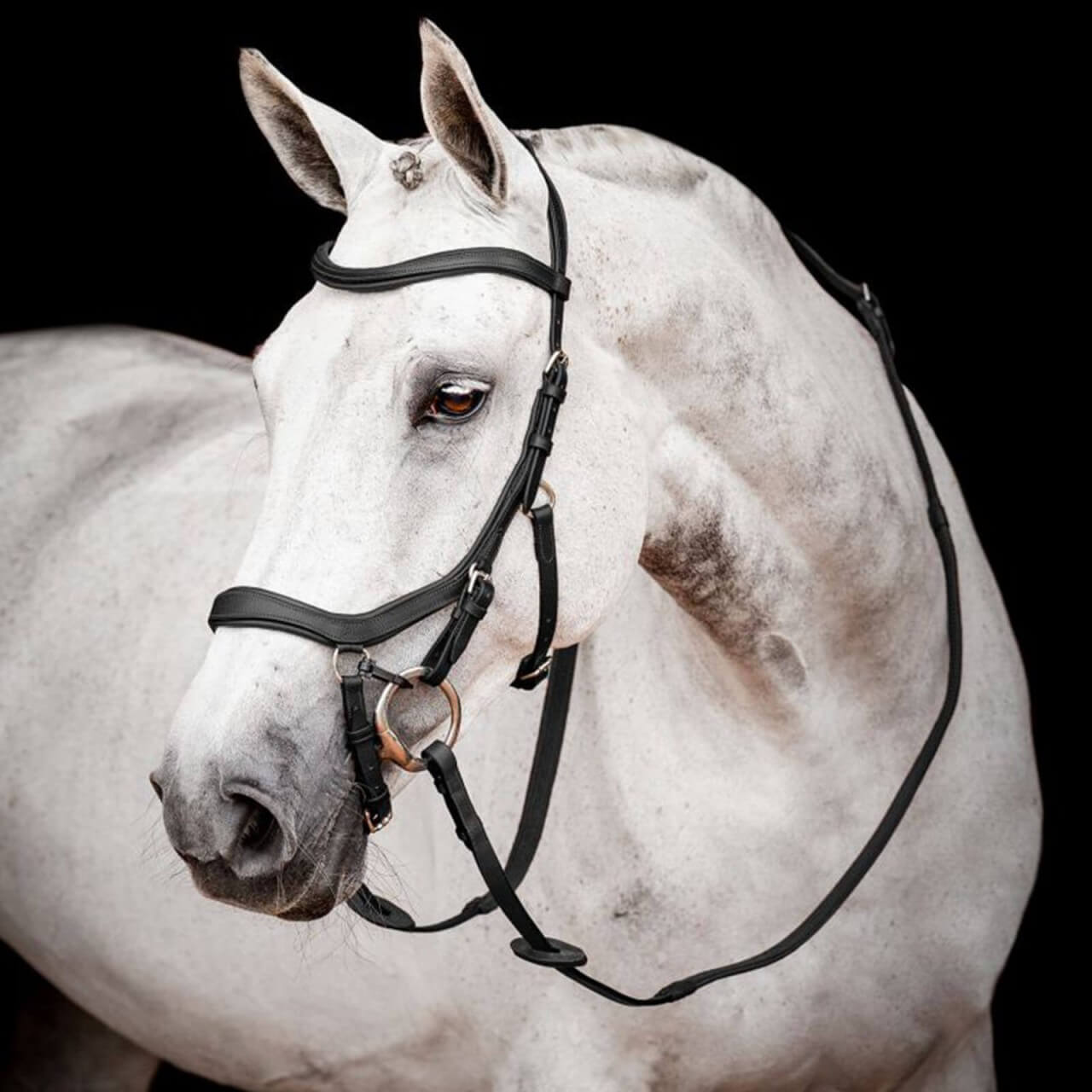 Horseware Ireland Trense Micklem 2 mit Gummizügeln Competition Bridle Trensenzaum Horseware Ireland Trense Micklem 2 mit Gummizügeln Competition Bridle Trensenzaum