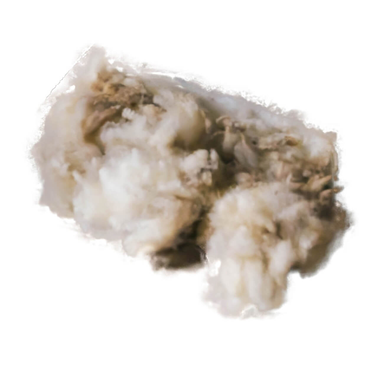 Kentucky Horsewear Therapeutische Wolle Therapeutic Wool 150g Kentucky Horsewear Therapeutische Wolle Therapeutic Wool 150g