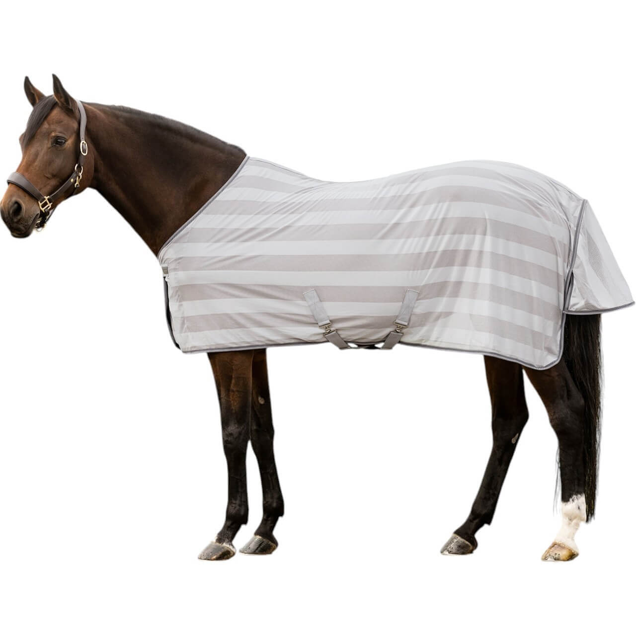 Waldhausen Fliegendecke Economic Fliegenschutz Waldhausen Fliegendecke Economic Fliegenschutz