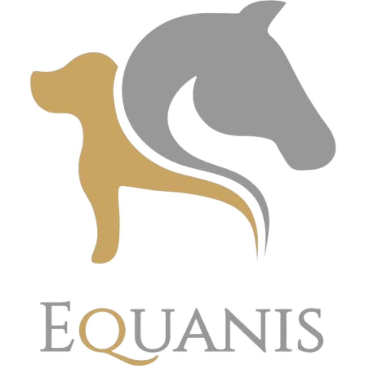 Equanis