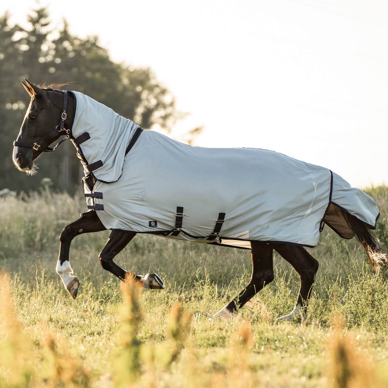 Imperial Riding Fliegendecke IRHReese Imperial Riding Fliegendecke IRHReese