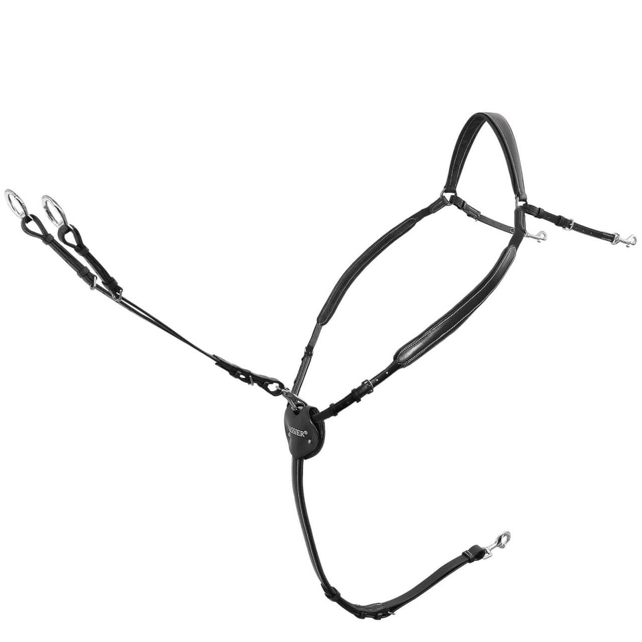 Passier Vorderzeug Marcus Ehning Passier Vorderzeug Marcus Ehning