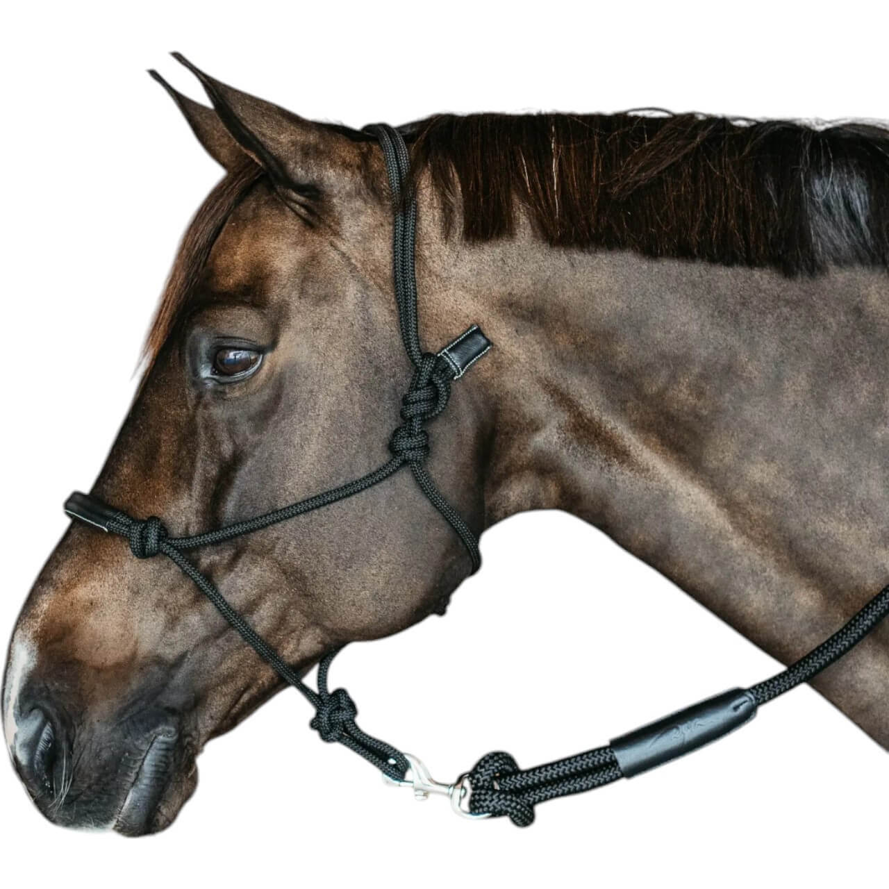 Dy´on Trainingshalfter Halfter Knotenhalfter Dy´on Trainingshalfter Halfter Knotenhalfter