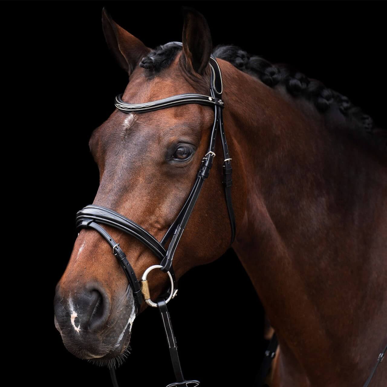 HV Polo Trense HVPLegacy Trensenzaum HV Polo Trense HVPLegacy Trensenzaum