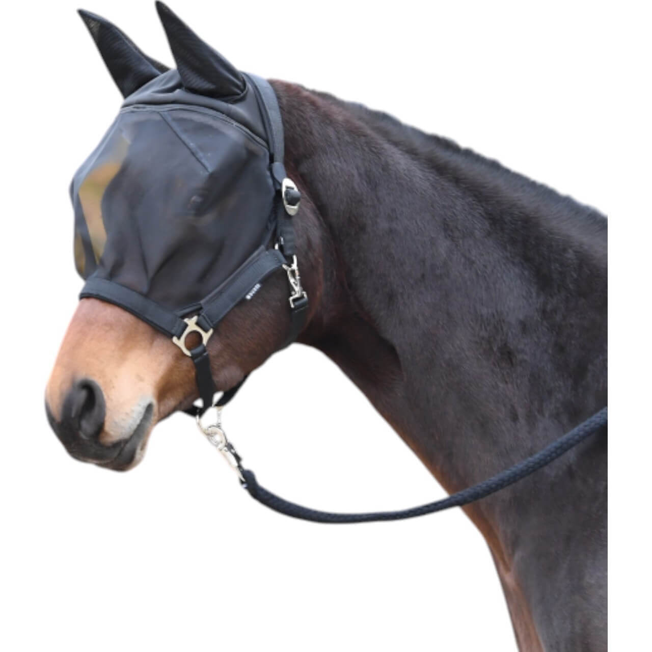 BUSSE Fliegenhalfter Fast Halfter mit Fliegenmaske Insektenschutz BUSSE Fliegenhalfter Fast Halfter mit Fliegenmaske Insektenschutz