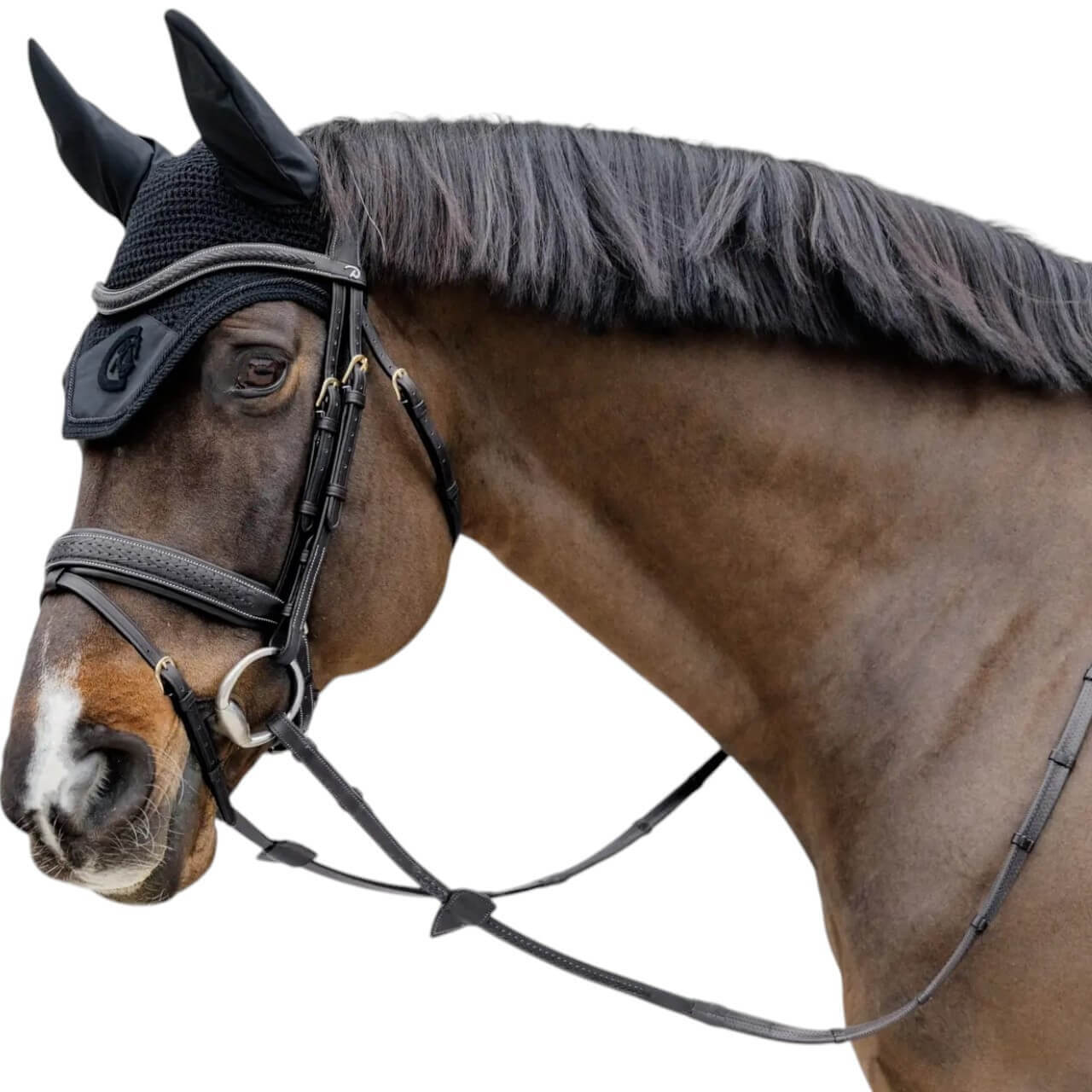 Dy´on Trense Geflochten mit schwedischem Reithalfter D-Collection Dy´on Trense Geflochten mit schwedischem Reithalfter D-Collection