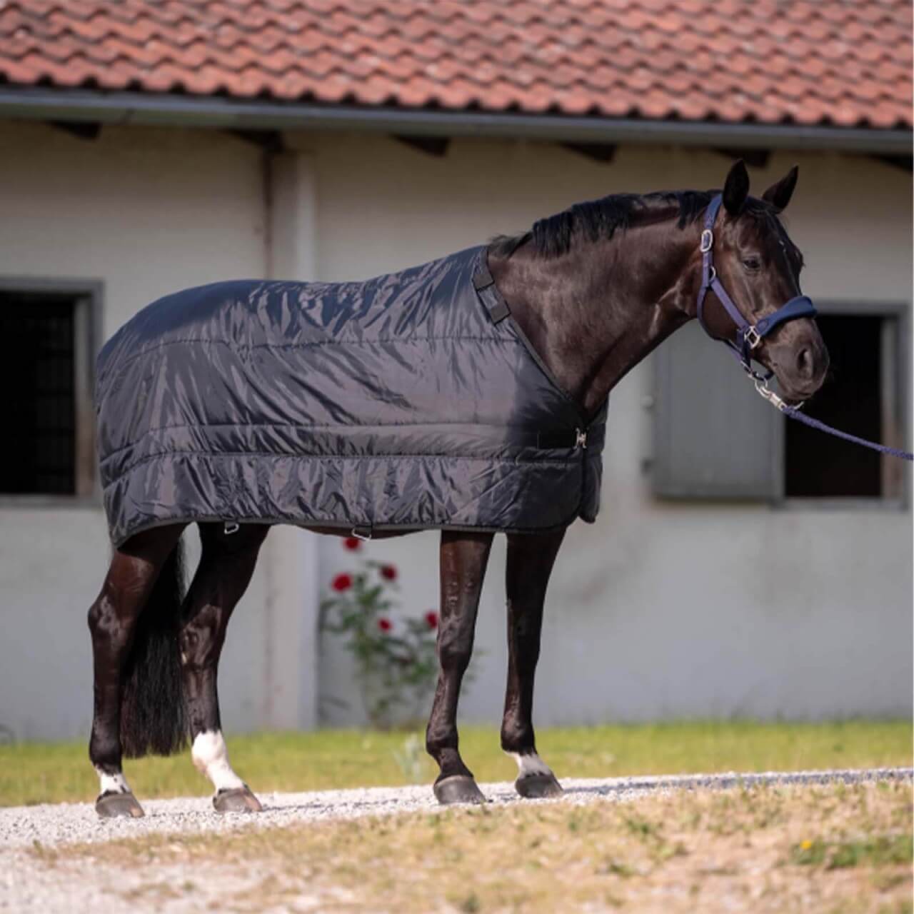 BUSSE Unterdecke 100g Noorvik Pro Liner BUSSE Unterdecke 100g Noorvik Pro Liner