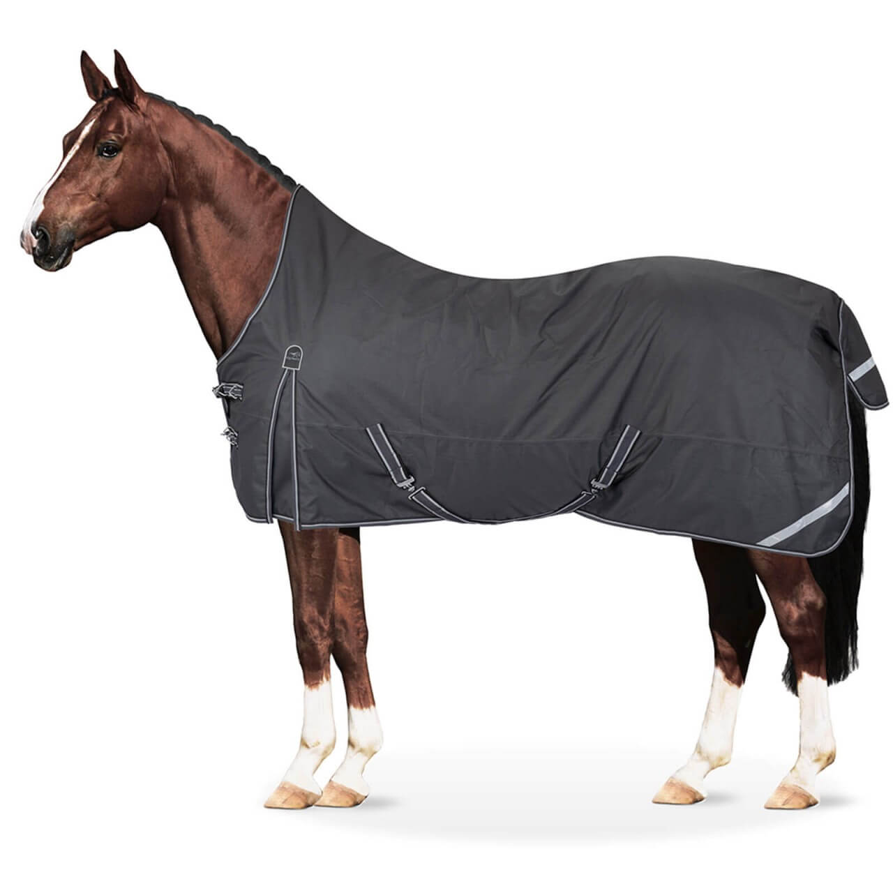 Equinate Outdoordecke 0g Oakland Regendecke Equinate Outdoordecke 0g Oakland Regendecke