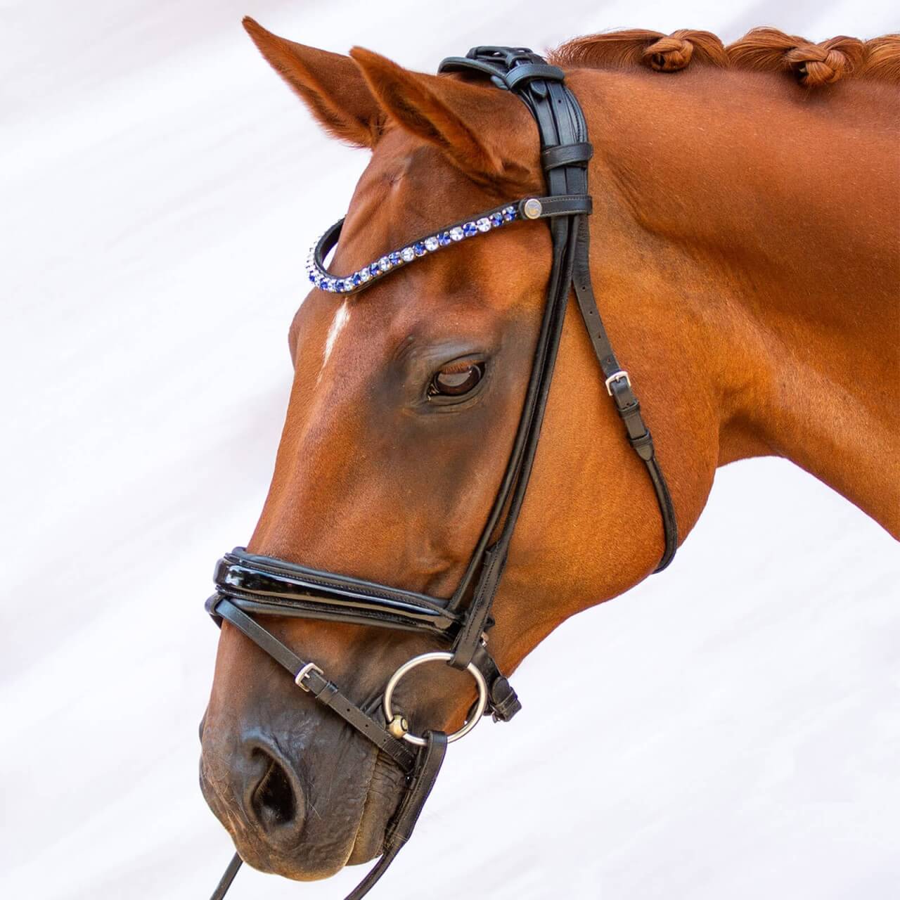 Bridlery Trense Classic mit unsichtbarer Sperrriemenschlaufe und Ice Blue Stirnriemen Bridlery Trense Classic mit unsichtbarer Sperrriemenschlaufe und Ice Blue Stirnriemen