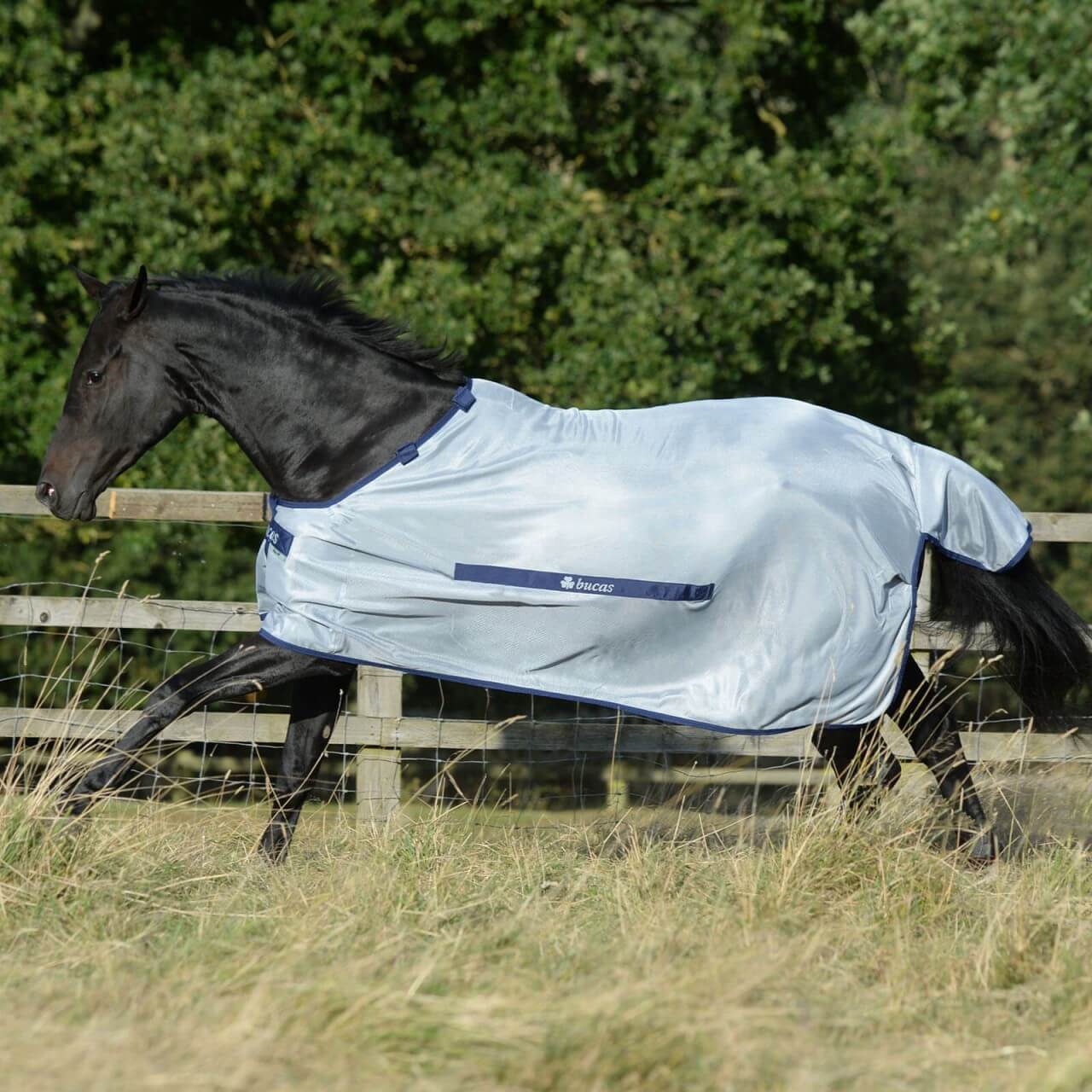 Bucas Fliegendecke Buzz-Off Classic Bucas Fliegendecke Buzz-Off Classic