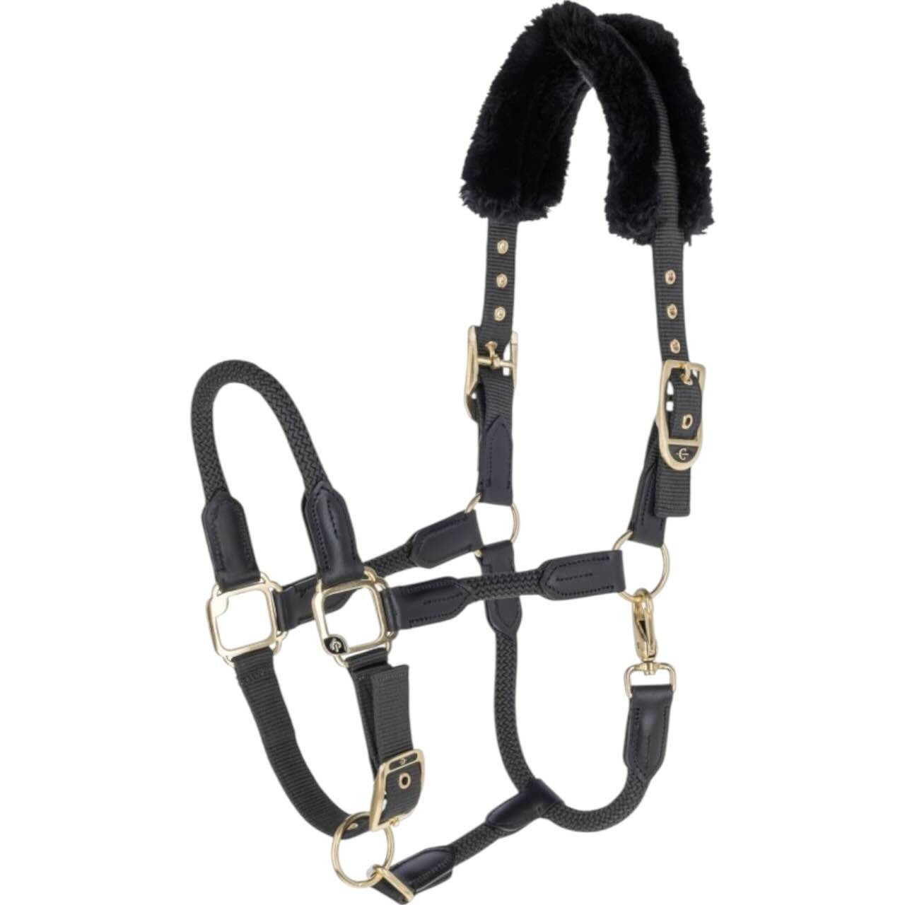 Covalliero Halfter Anniversary Kollektion 2025 Nylonhalfter Covalliero Halfter Anniversary Kollektion 2025 Nylonhalfter