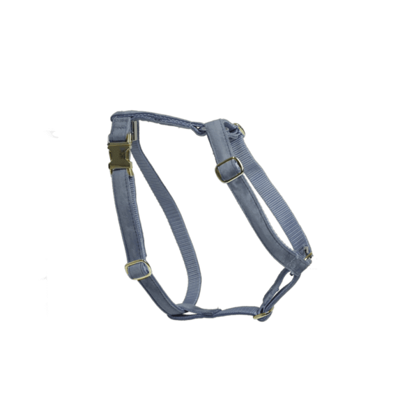 Kentucky Dogwear Hundegeschirr Loop Velvet Kentucky Dogwear Hundegeschirr Loop Velvet