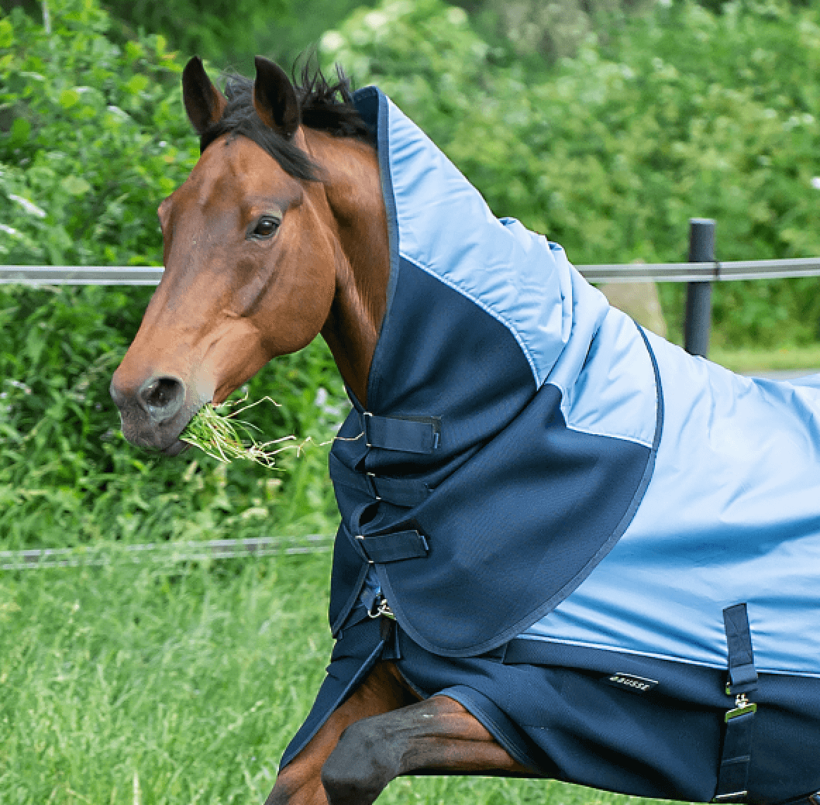 BUSSE Halsteil 3D Air Rain BUSSE Halsteil 3D Air Rain