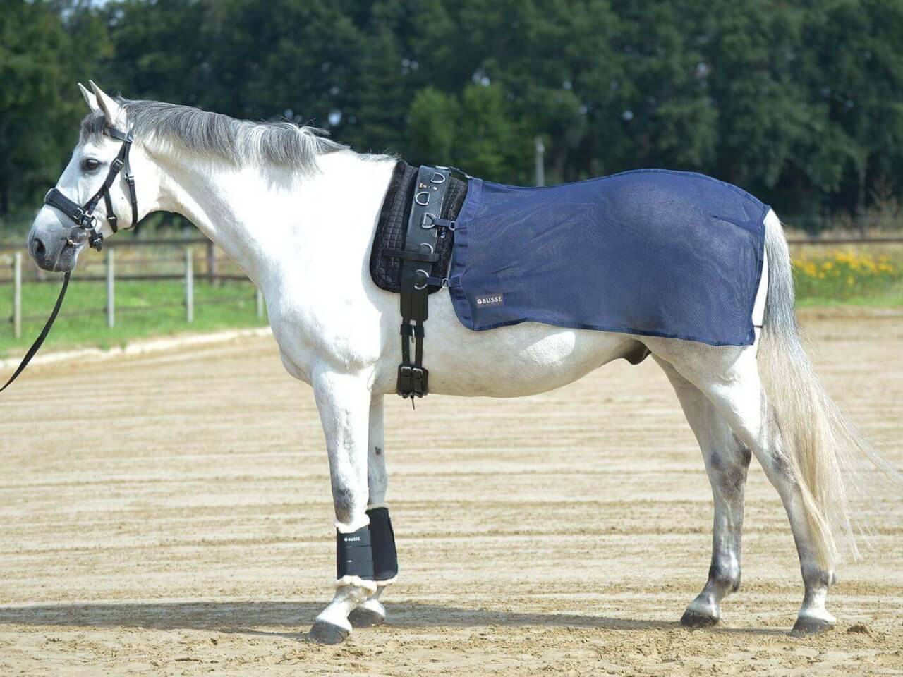 BUSSE Longierdecke Fly Fliegendecke BUSSE Longierdecke Fly Fliegendecke