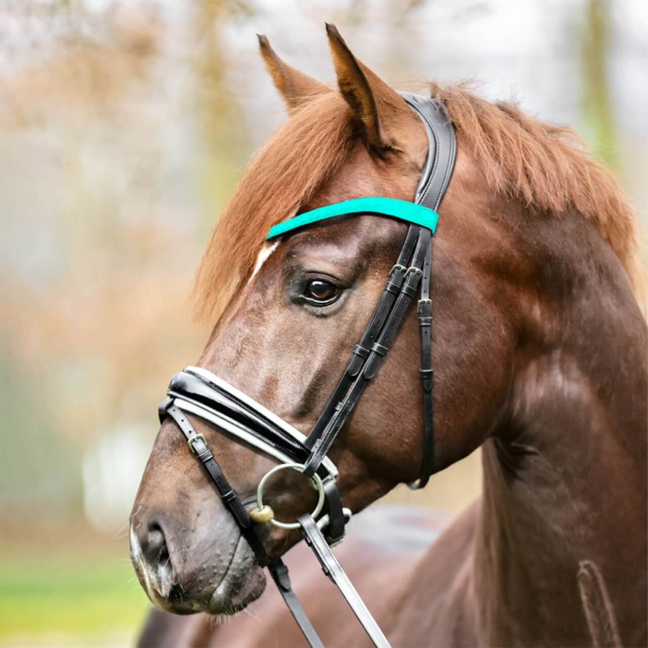 Kavalkade Trense Liliana Trensenzaum Kavalkade Trense Liliana Trensenzaum