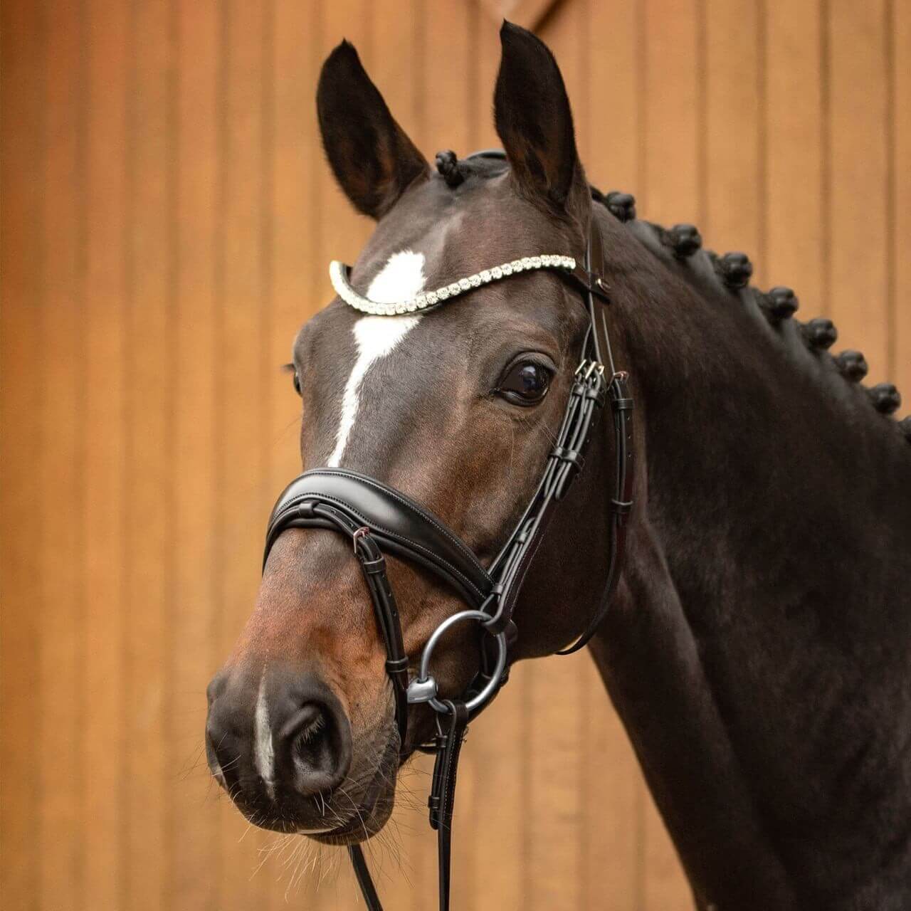 Passier Trense Favorite powered by Ingrid Klimke Passier Trense Favorite powered by Ingrid Klimke