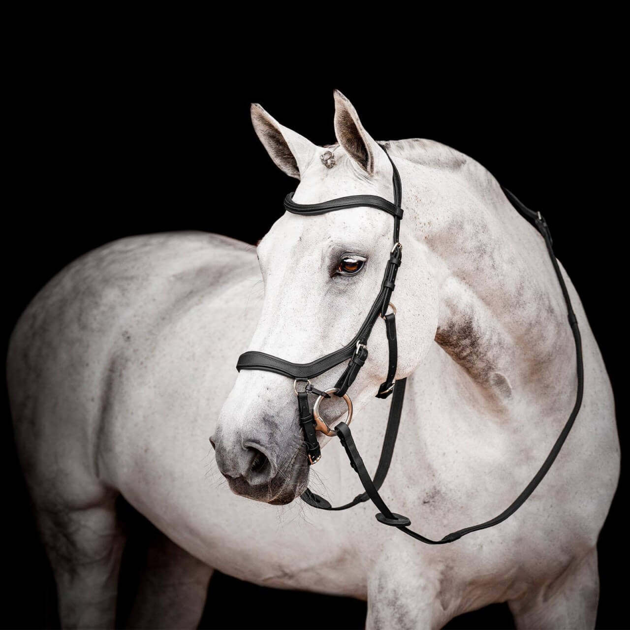 Horseware Ireland Trense Micklem 2 Competition Bridle Micklemtrense Horseware Ireland Trense Micklem 2 Competition Bridle Micklemtrense