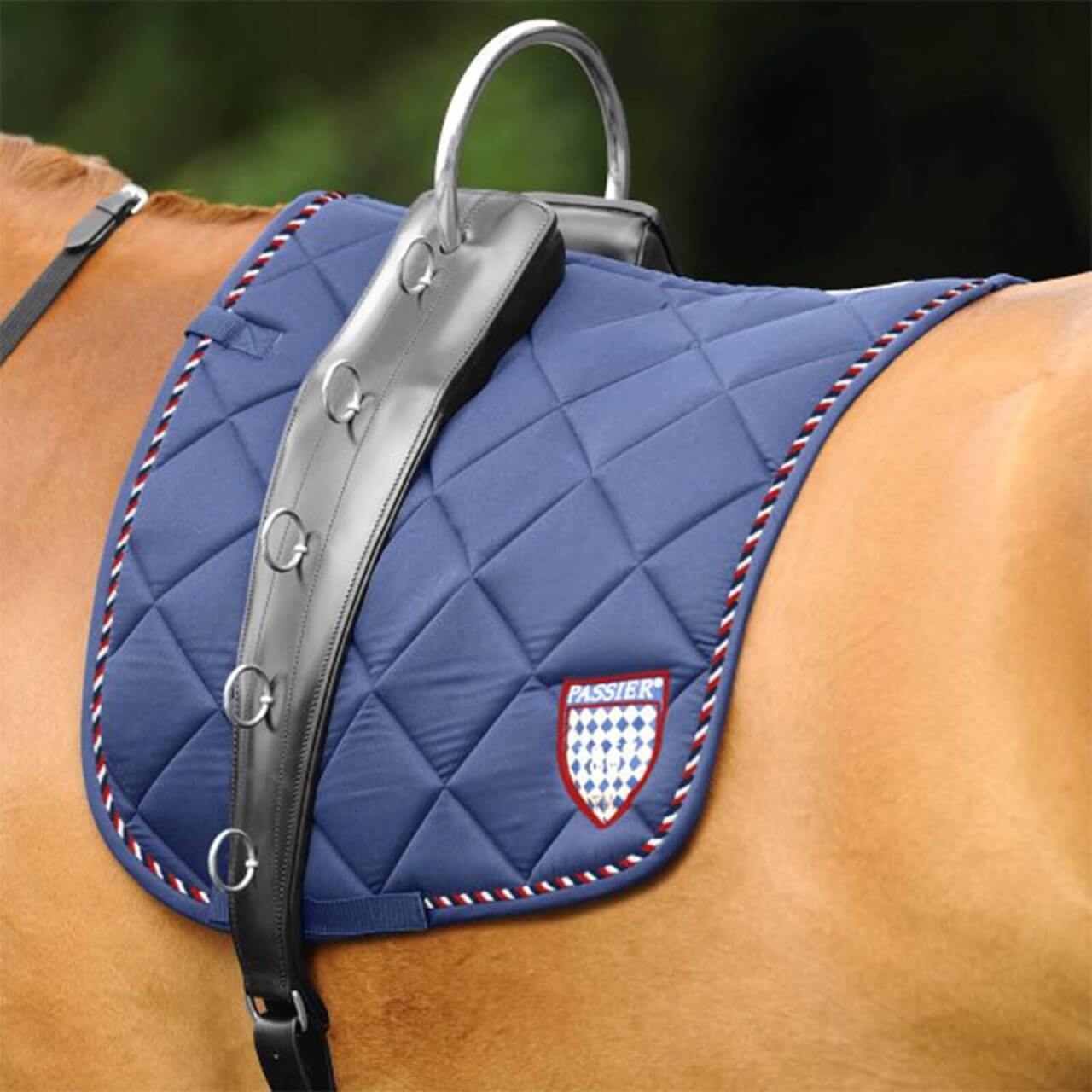 Passier Longiergurt Horst Becker Passier Longiergurt Horst Becker