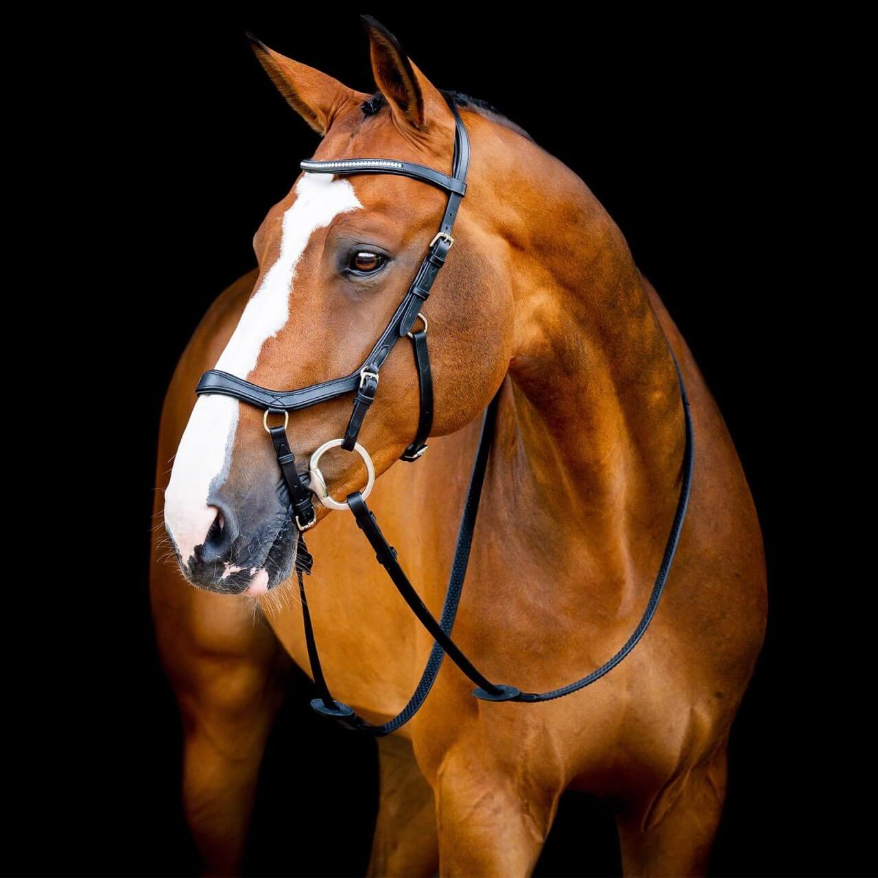 Horseware Ireland Trense Micklem 2 Diamante Competition Bridle Micklemtrense Horseware Ireland Trense Micklem 2 Diamante Competition Bridle Micklemtrense