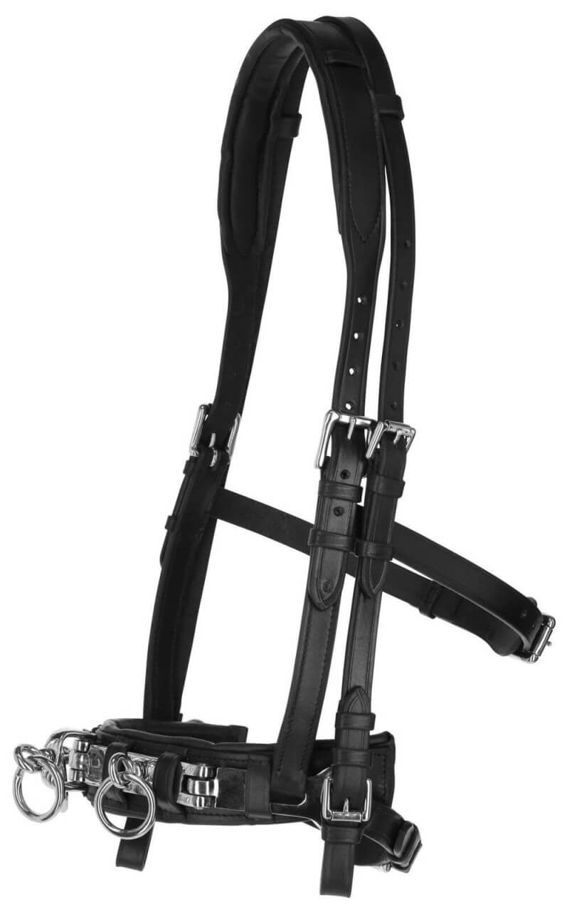 Covalliero Kappzaum Exklusiv Lederkappzaum Covalliero Kappzaum Exklusiv Lederkappzaum